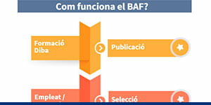 Infografia sobre el BAF