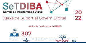 Infografia elaborada pel Gabinet d'Innovació Digital