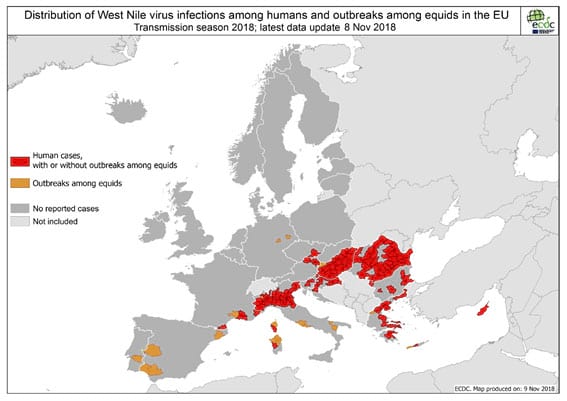  Mapa amb casos humans en vermell i en cavalls en taronja. ECDC